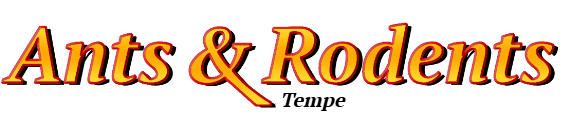 Tempe Ant Exterminator & Rodent Control Company Logo